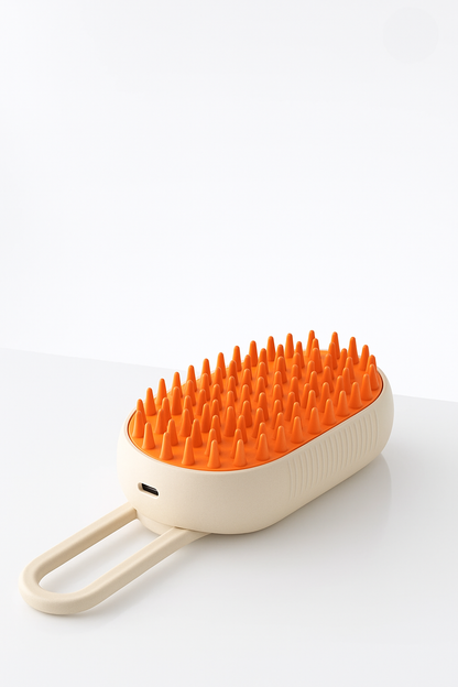Brosse vaporisante 2-en-1