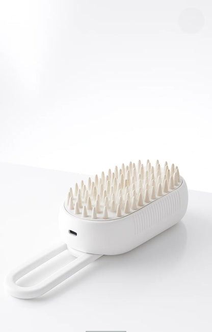 Brosse vaporisante 2-en-1