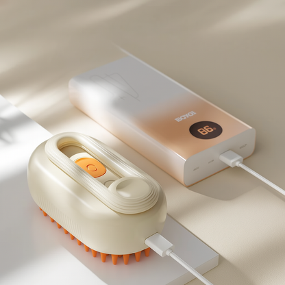 Brosse vaporisante 2-en-1