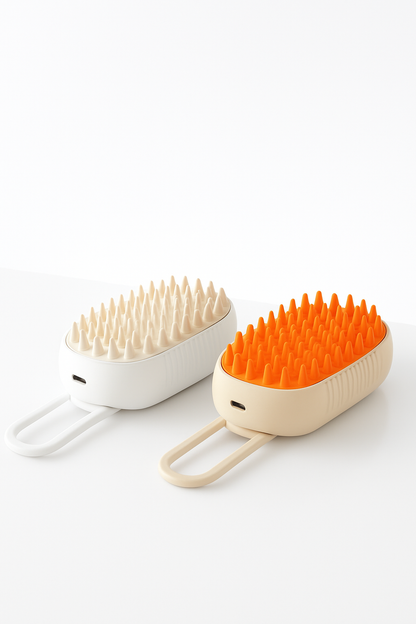 Brosse vaporisante 2-en-1